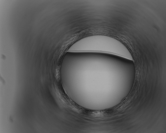 X0000091100335200708061028