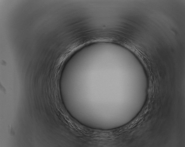 X0000091100337200708061027