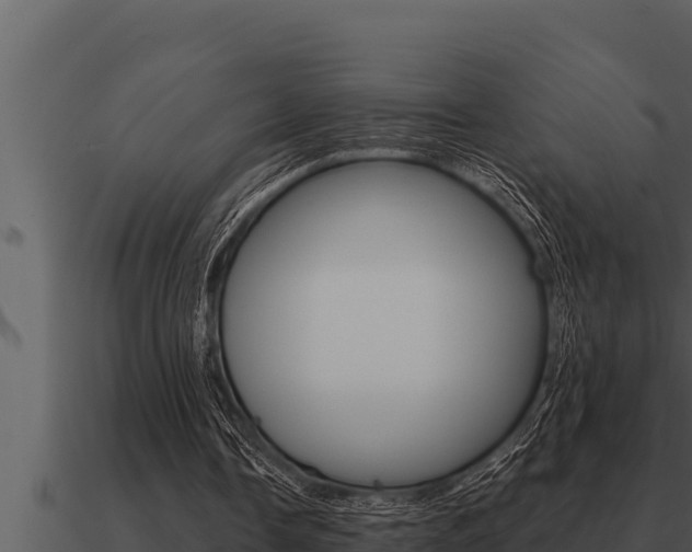 X0000091100338200708061027