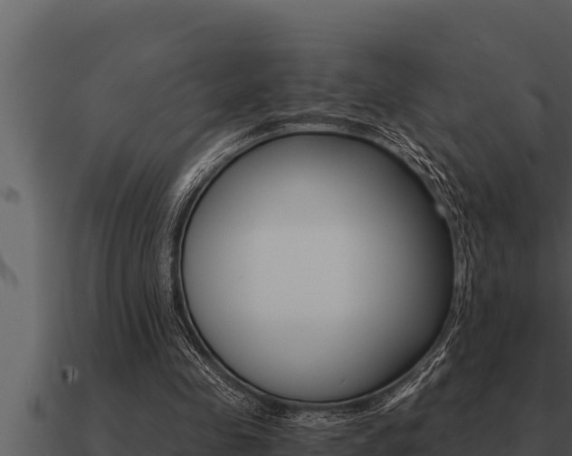 X0000091100341200708061027