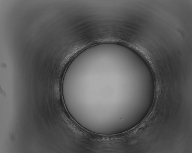 X0000091100345200708061027