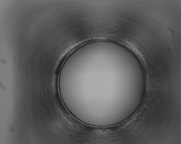 X0000091100346200708061027