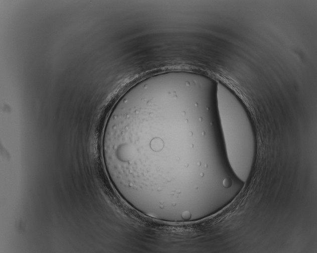 X0000091100347200708061027
