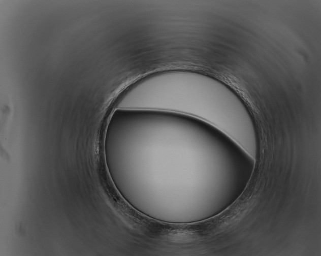 X0000091100348200708061027