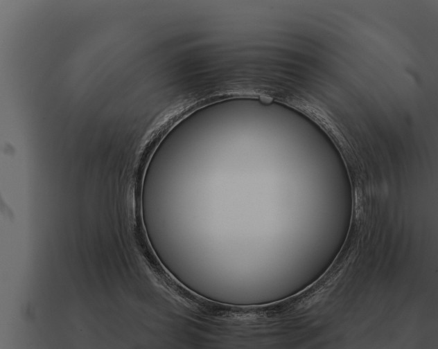 X0000091100349200708061027