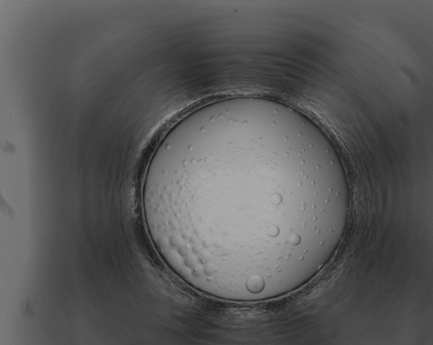 X0000091100351200708061027