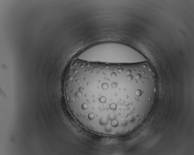 X0000091100354200708061027