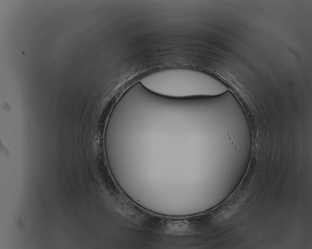 X0000091100355200708061027