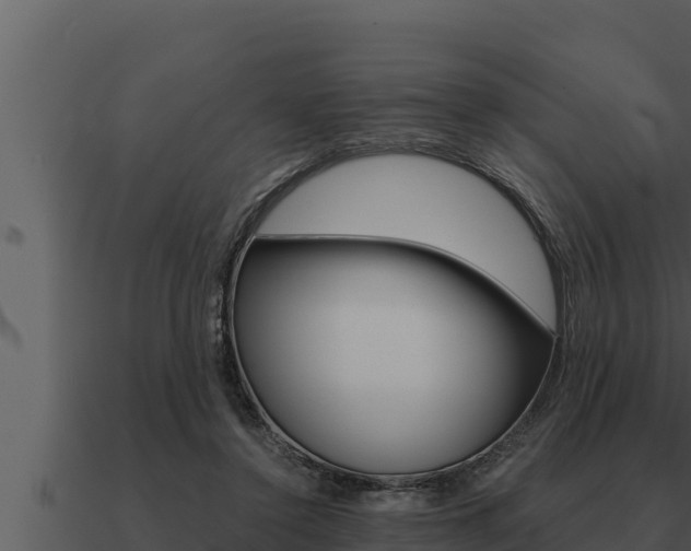 X0000091100356200708061027