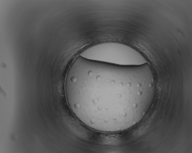 X0000091100359200708061027