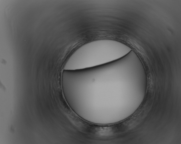 X0000091100361200708061027