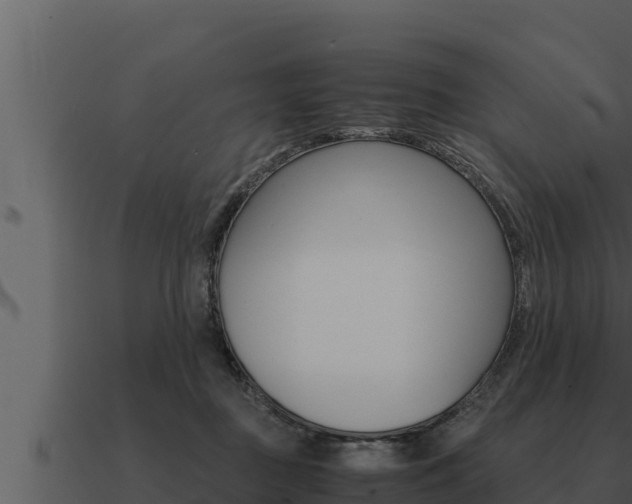 X0000091100363200708061027