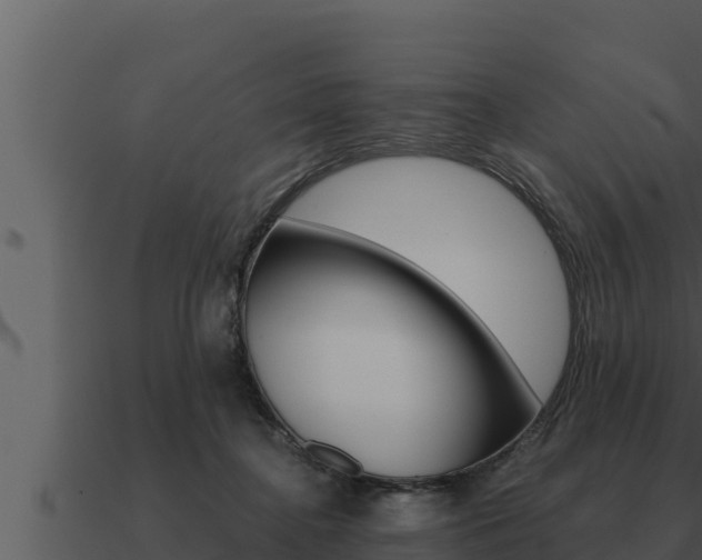 X0000091100364200708061027