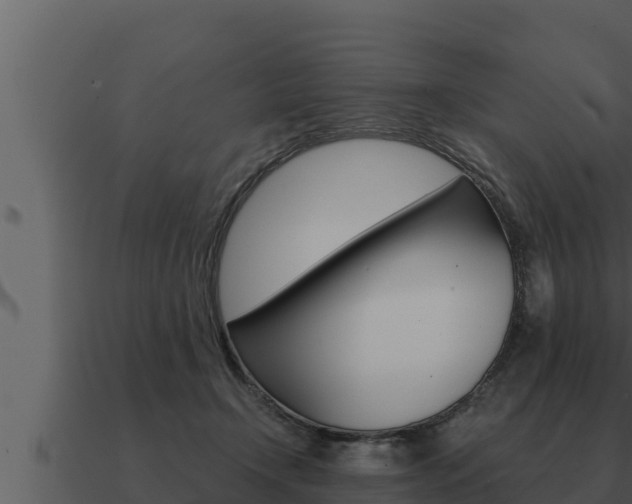 X0000091100366200708061027