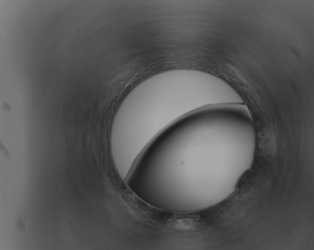 X0000091100368200708061027