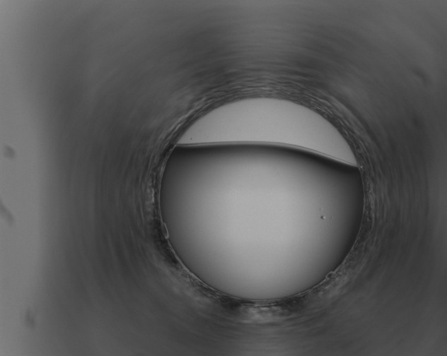 X0000091100372200708061028