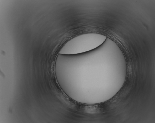 X0000091100373200708061028