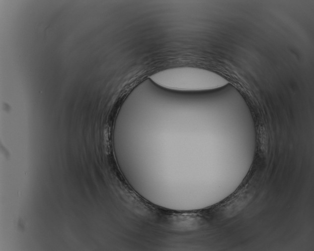 X0000091100378200708061028