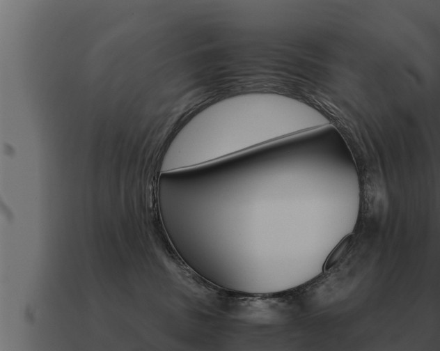 X0000091100379200708061028