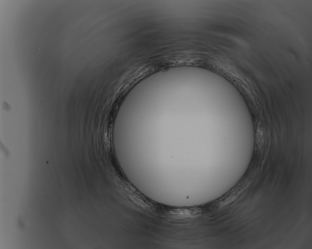 X0000091100381200708061028