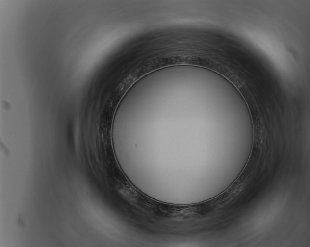 X0000091100382200708061028