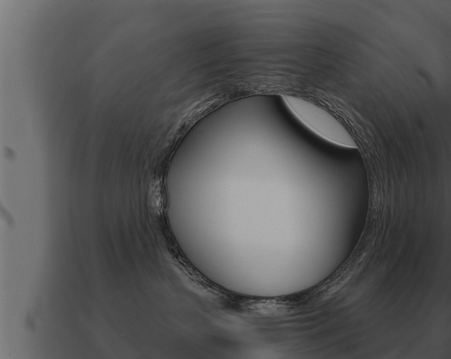 X0000091100383200708061028