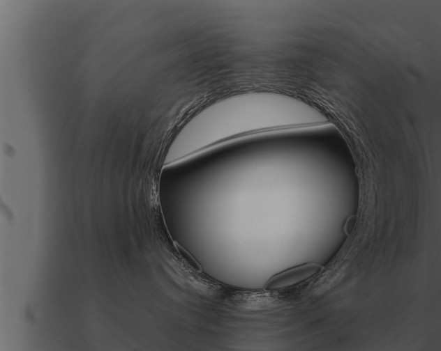 X0000091100384200708061028