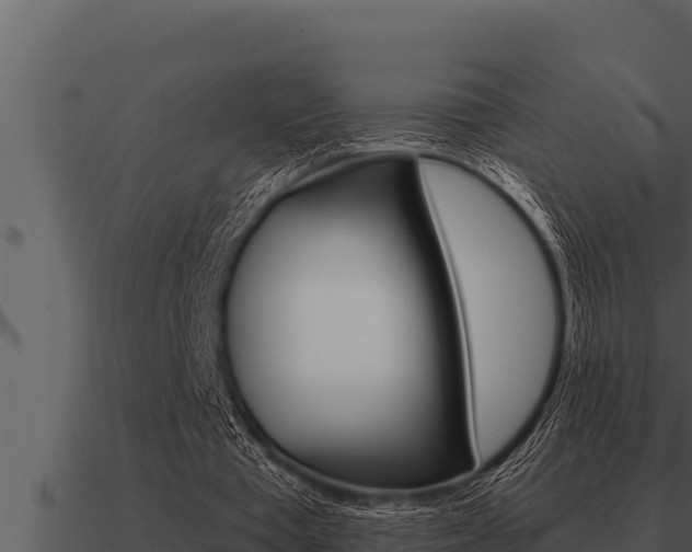 X0000091100385200708061027