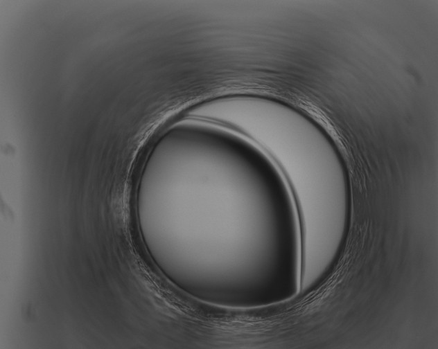 X0000091100387200708061027