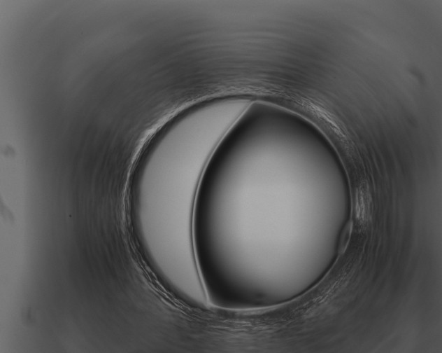 X0000091100388200708061027