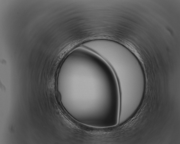 X0000091100389200708061027