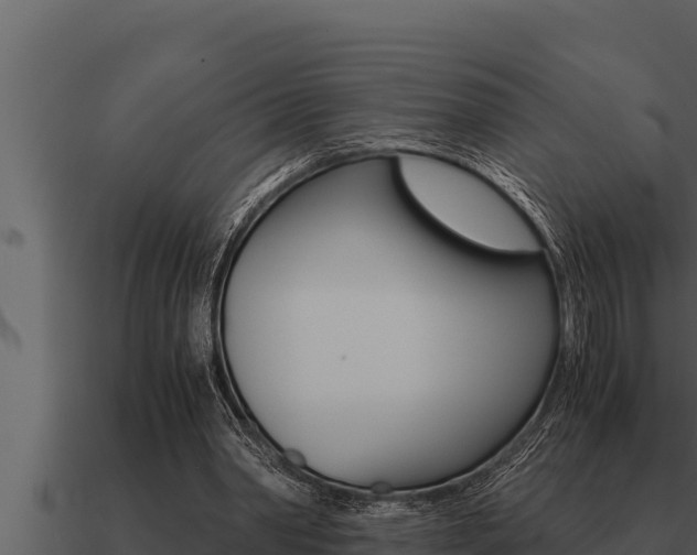 X0000091100390200708061027