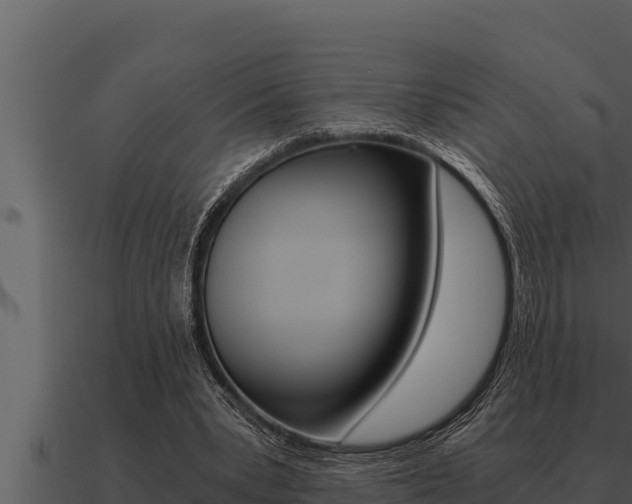 X0000091100391200708061027