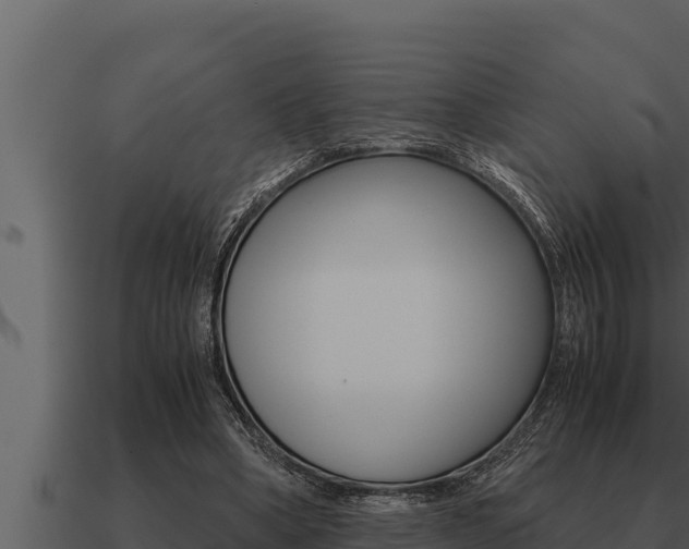 X0000091100394200708061027