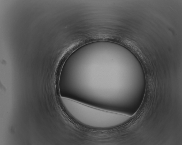 X0000091100395200708061027