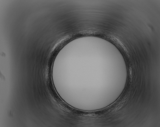 X0000091100396200708061027