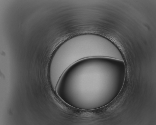 X0000091100397200708061027