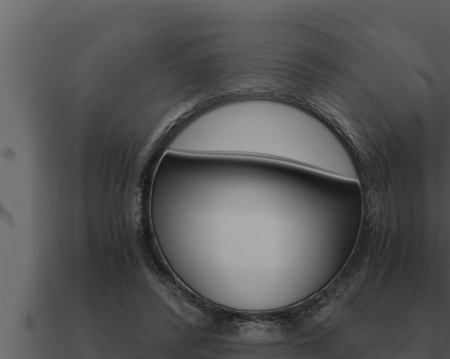 X0000091100400200708061027