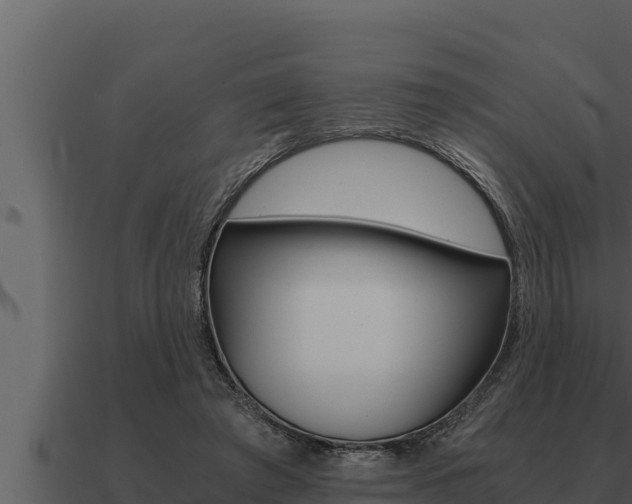 X0000091100401200708061027