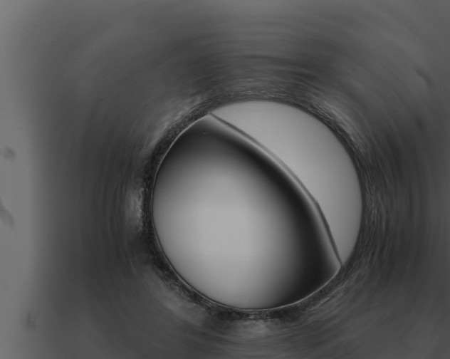 X0000091100404200708061027