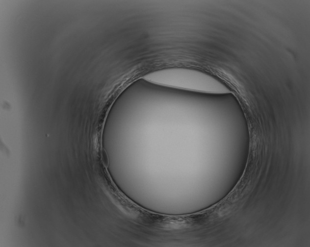 X0000091100405200708061027