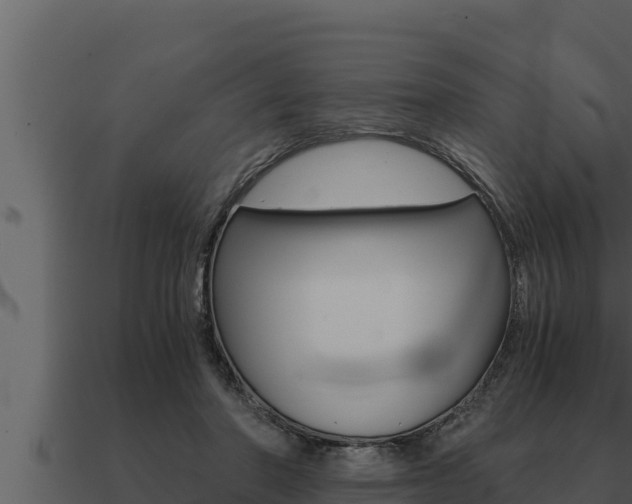 X0000091100406200708061027
