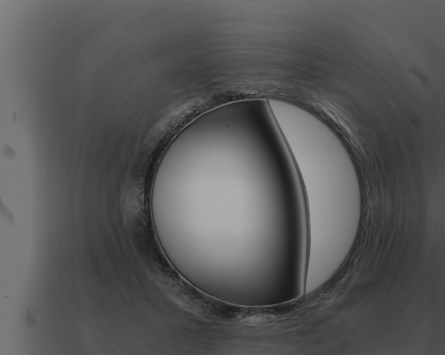 X0000091100407200708061027