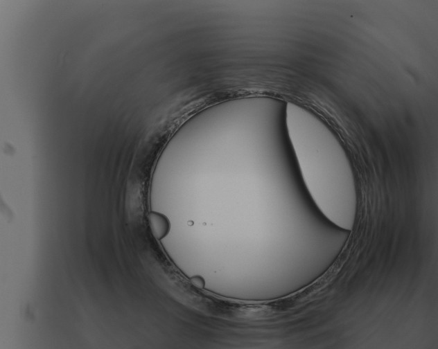 X0000091100410200708061027