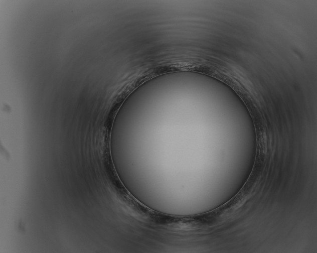X0000091100412200708061027