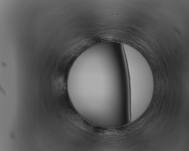 X0000091100420200708061027