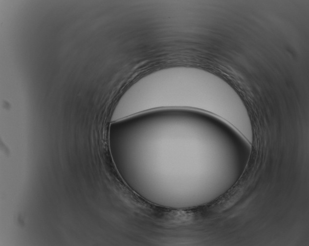 X0000091100421200708061027