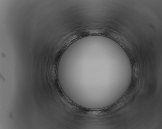 X0000091100422200708061027