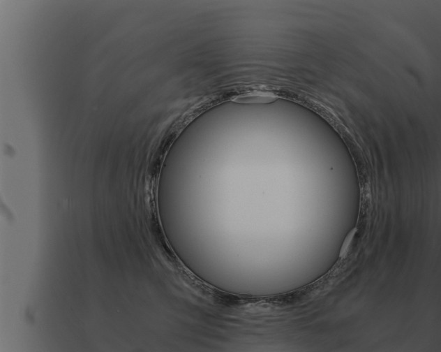 X0000091100423200708061027