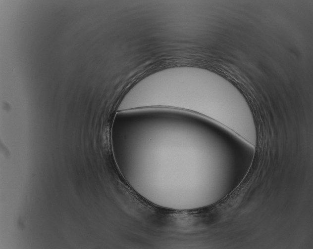 X0000091100425200708061027